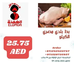 Page 43 in Egyptian products at Elomda UAE
