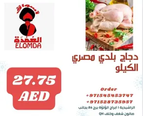 Page 44 dans productos egipcios chez Elomda Émirats arabes unis