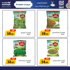 Página 10 en Ofertas de Mawlid al-Nabawi en Awlad Ragab Egipto