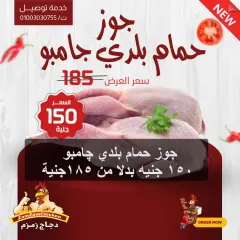 Page 2 in Best offers at Zamzam chicken Egypt