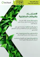 Página 15 en Ofertas de estrellas de la semana en mercado Astra Arabia Saudita