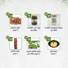 Page 7 in Weekly Deals at Alnahda almasria UAE