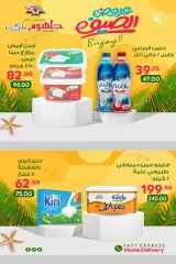 Page 1 in Summer Deals at Galhom Market Egypt