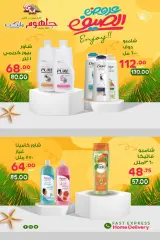 Page 15 in Summer Deals at Galhom Market Egypt