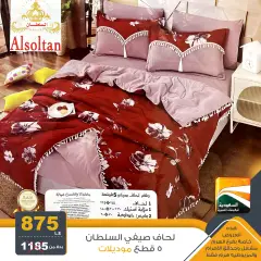 Página 14 en ofertas de verano en Saudia TV Egipto