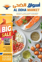 Página 1 en Grandes ofertas en Mercado de Al Doha Egipto