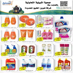 Page 13 in 4 day offer at Eshbelia co-op Kuwait