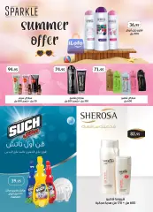 Page 28 in Price smash offers at Al Rayah Market Egypt