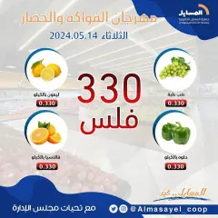 Page 3 in Vegetable and fruit offers at Al Masayel co-op Kuwait