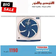 Página 4 en ofertas de verano en Al Tawheed Welnour Egipto