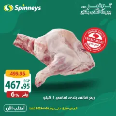 Page 15 in Meat Festival Offers at Spinneys Egypt