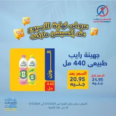 Page 4 in Weekend Deals at Exception Market Egypt