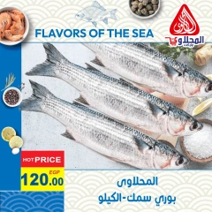 Page 6 in Fish Deals at El Mahlawy market Egypt