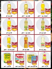 Page 19 in Spring offers at Al Bader markets Egypt