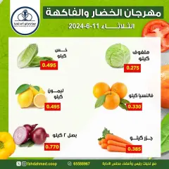 Page 3 in Vegetable and fruit offers at Dahiat Fahd Ahmed co-op Kuwait