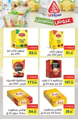 Page 11 in Summer Sale at El Mahlawy market Egypt