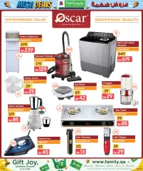 Page 17 in Mega Deals at Family Food Centre Qatar