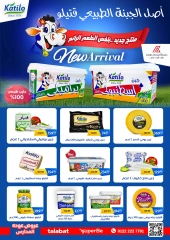 Page 42 in Back to School Deals at Arab DownTown Egypt