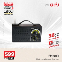 Page 4 in Electro Blast Deals at Raneen Egypt