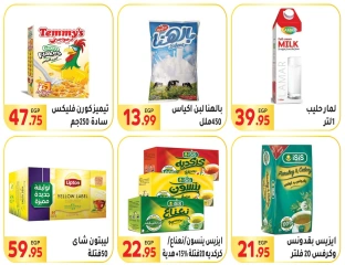 Página 30 en Ofertas de regreso a clases en Mercado El Mahlawy Egipto