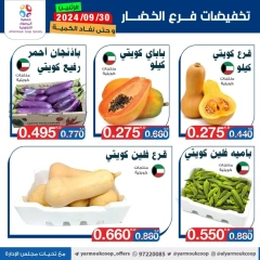 Page 2 dans Offres de fruits et légumes chez La coopérative Yarmouk Koweït