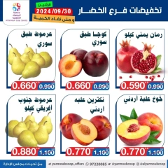 Page 5 dans Offres de fruits et légumes chez La coopérative Yarmouk Koweït