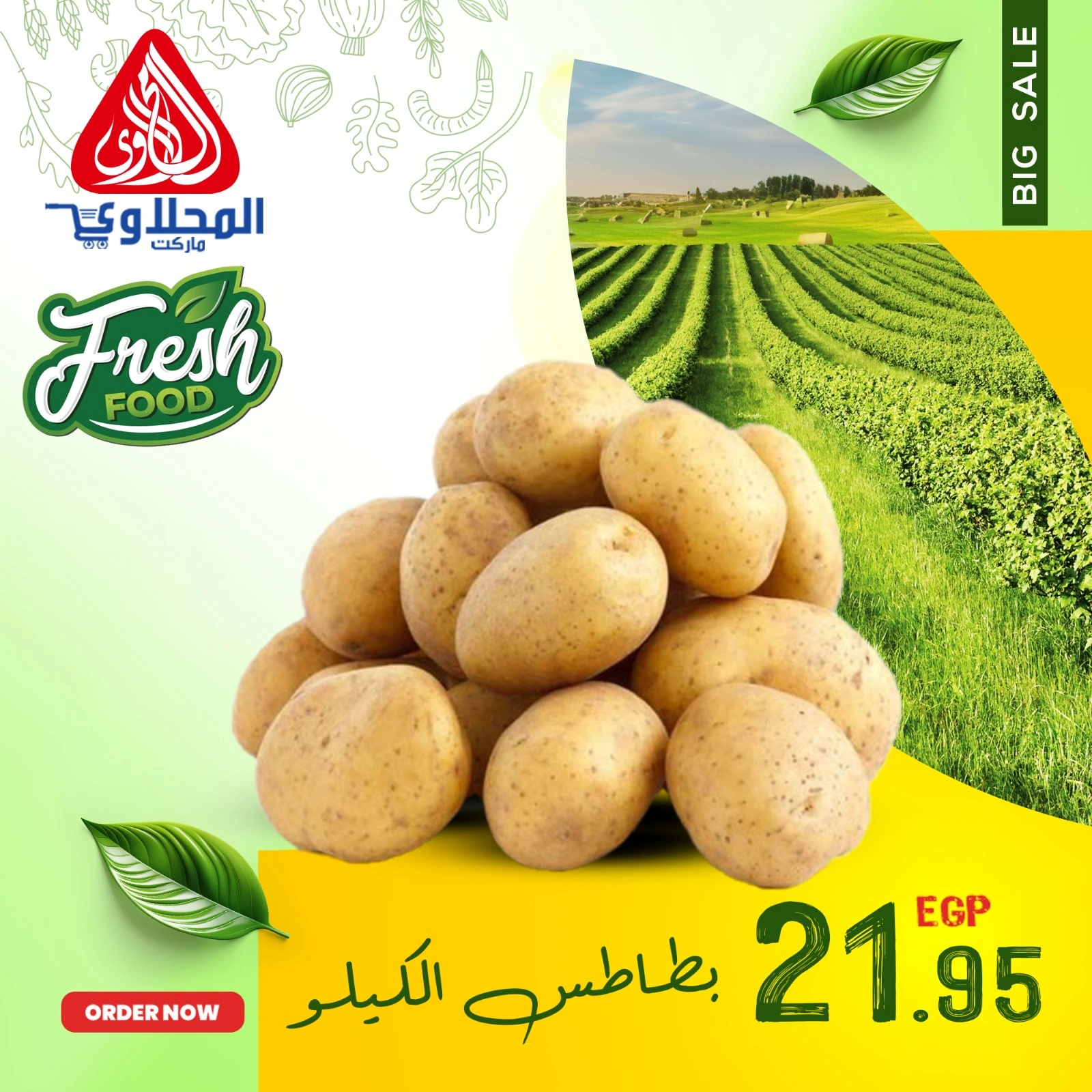 صفحة 1 ضمن صفقات طازجة في المحلاوى ماركت مصر