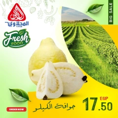 Página 9 en Nuevas ofertas en Mercado El Mahlawy Egipto