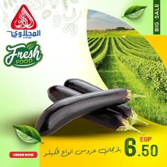 Página 6 en Nuevas ofertas en Mercado El Mahlawy Egipto