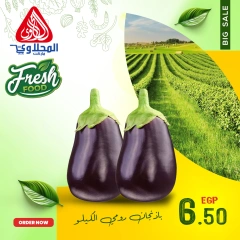 Página 5 en Nuevas ofertas en Mercado El Mahlawy Egipto