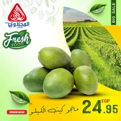 Página 12 en Nuevas ofertas en Mercado El Mahlawy Egipto