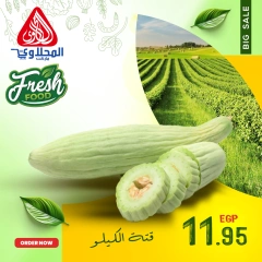 Página 3 en Nuevas ofertas en Mercado El Mahlawy Egipto