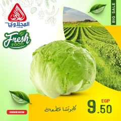 Página 7 en Nuevas ofertas en Mercado El Mahlawy Egipto