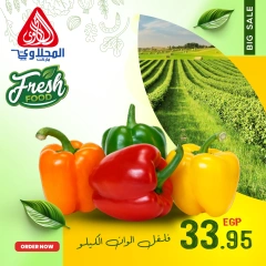 Página 4 en Nuevas ofertas en Mercado El Mahlawy Egipto