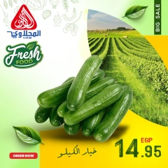 Página 2 en Nuevas ofertas en Mercado El Mahlawy Egipto