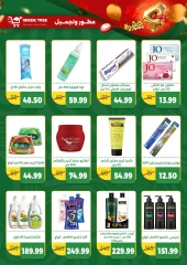 Página 20 en Ofertas de aniversario en Green Tree Egipto