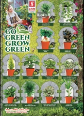 Page 2 in Go Green Deals at Safari hypermarket UAE