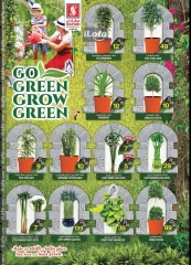 Page 8 in Go Green Deals at Safari hypermarket UAE