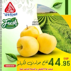 Página 13 en Nuevas ofertas en Mercado El Mahlawy Egipto