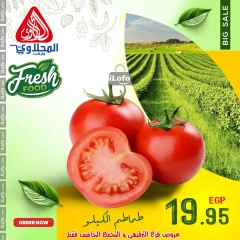 Página 8 en Nuevas ofertas en Mercado El Mahlawy Egipto