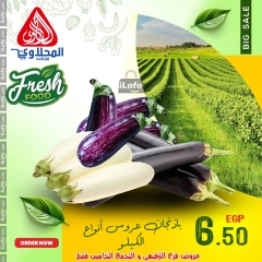 Página 4 en Nuevas ofertas en Mercado El Mahlawy Egipto