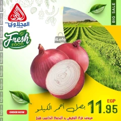 Página 18 en Nuevas ofertas en Mercado El Mahlawy Egipto