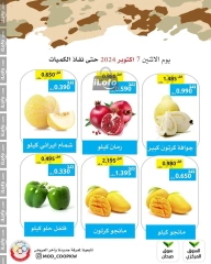 Página 2 en Ofertas de precios espectaculares en cooperativa Mod Kuwait