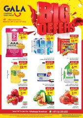 Page 1 in Big offers at Gala supermarket UAE