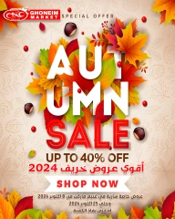 Page 1 in Autumn Sale at Ghonem market Egypt