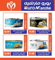 Página 14 en Promoción especial en Euromarche Egipto