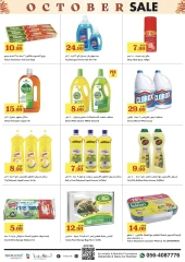 Page 14 in October Sale at Trolleys supermarket UAE