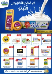 Page 13 in Monthly Deals at Flamingo Hypermarket Egypt