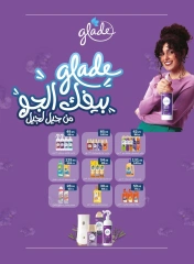 Page 63 in Monthly Deals at Flamingo Hypermarket Egypt