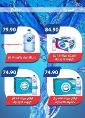 Page 20 in Big Sale at Bassem Market Egypt